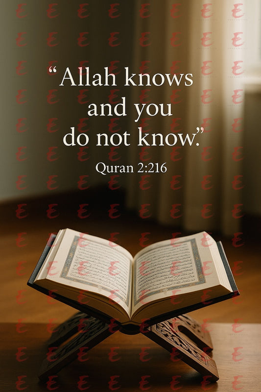 "Allah knows and you do not know." Quran 2:216