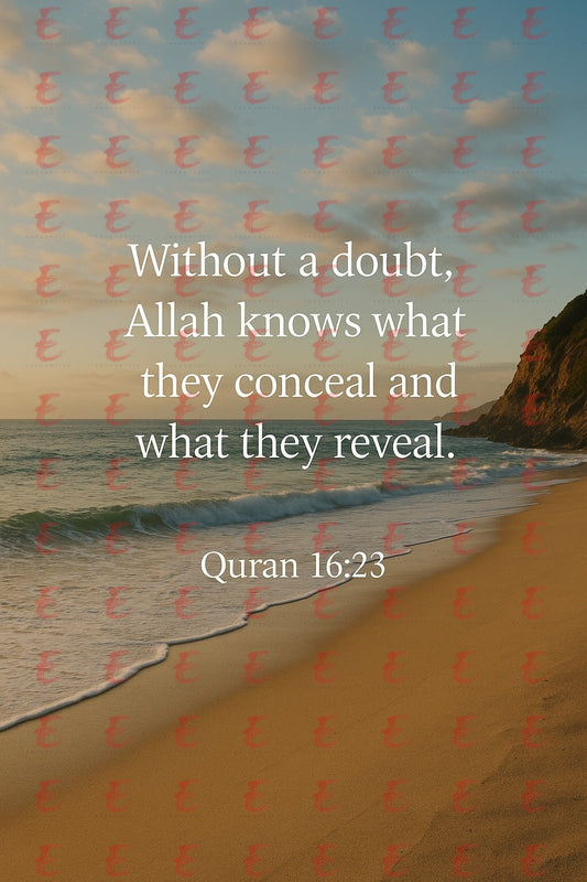 "Without a doubt, Allah knows what they conceal and what they reveal." Quran 16:23